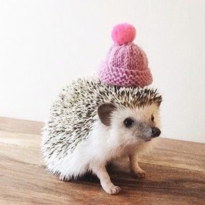 Meet your Posher, Emilia